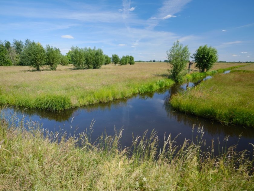 Natura 2000 gebied de Donkse Laagten wordt door Staatsbosbeheer verpacht aan lokale boeren. Er liggen waardevolle bloemrijke graslanden (fase 4) en het gebied heeft een groeiende populatie weidevogels. Veel van de lokale boeren doen op hun aangrenzende percelen aan agrarisch natuur- en landschapsbeheer (ANLb). Zeven van de 29 onderzochte percelen lagen in de Donkse Laagten. Foto: Bendiks Westerink