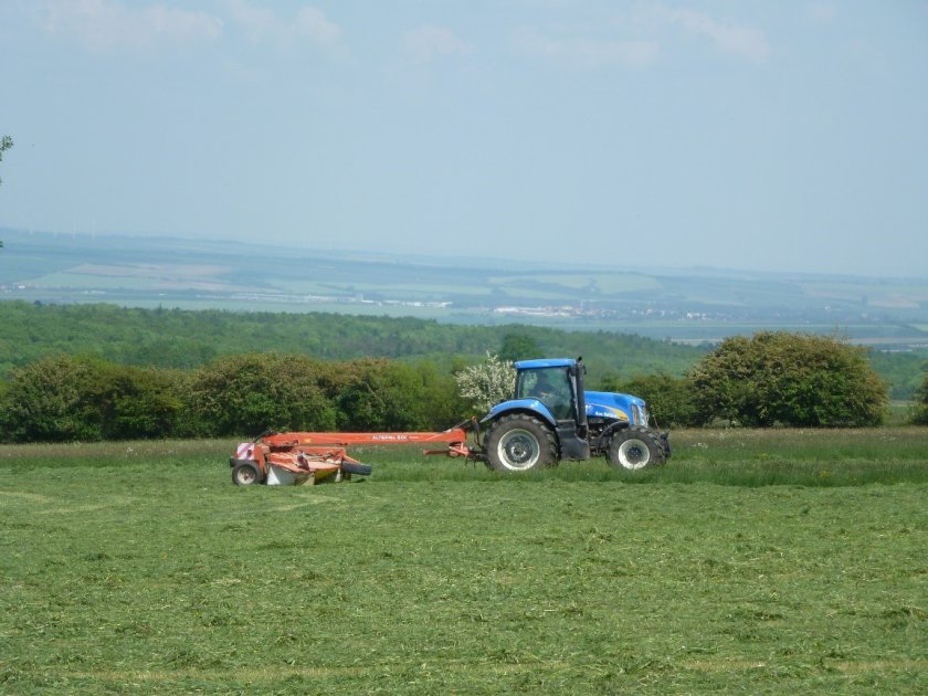 Grassland is known to potentially deliver an outstandingly high number of different ecosystem services to society (Source: Solen Le Clech)