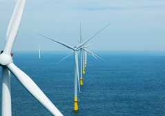 Biodiversity around wind farms is also being monitored, for example with a robotic arm that scrapes vegetation off wind turbine poles. Image: Sky Pictures.