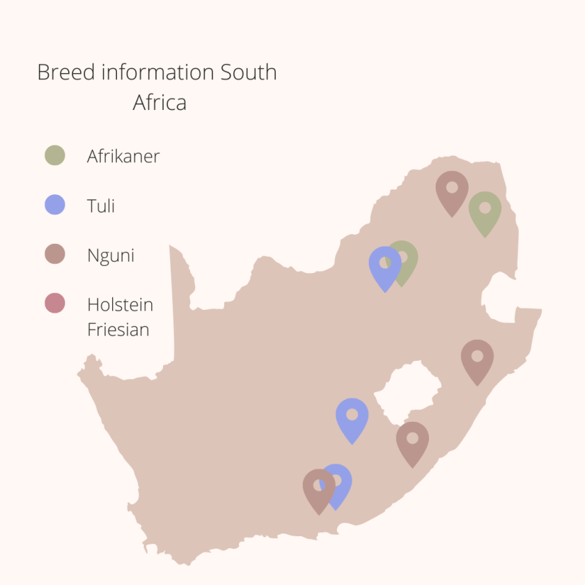 Breed information South Africa