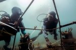 3. Construction of an artificial coral reef in Kenya - photo Ewout Knoester